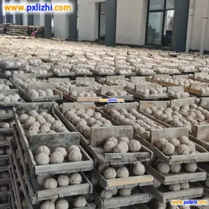 Best Alumina Ceramic Balls Manufacturers