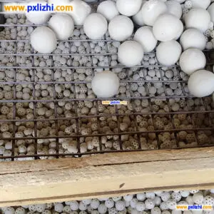 Alumina balls bulk density