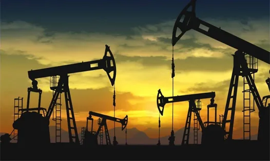 Petrochemical Industry