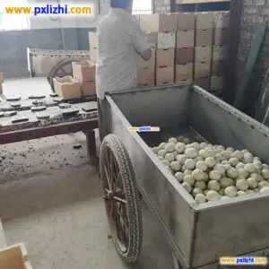 Wholesale inert ceramic ball
