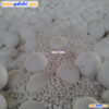 Al2o3 ceramic ball factory