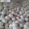 ceramic packing balls