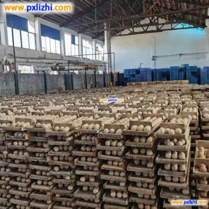 Inert alumina ceramic ball factory