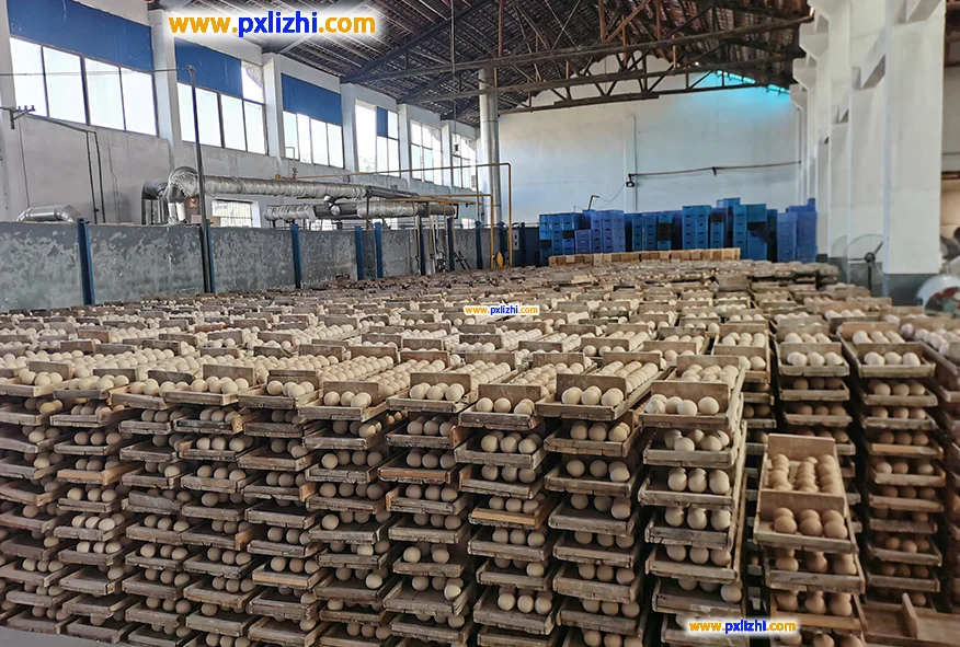 Inert alumina ceramic ball factory Inert alumina ceramic ball factory