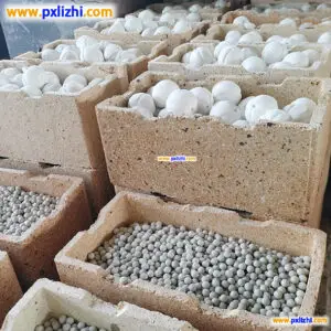 Inert Alumina Ball Manufacturer