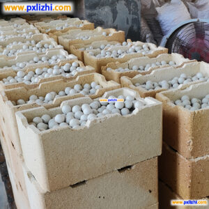 Best Ceramic Ball Manufacturer