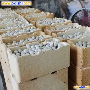 Best Ceramic Ball Manufacturer