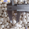 Inert ceramic balls