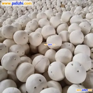 Wholesale Inert Porcelain Ball