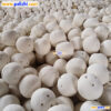 Ceramic Ball Manufacturers