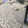 Filling ceramic ball