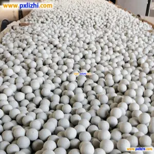 Low alumina balls for sale