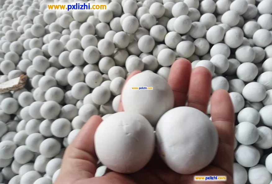 ceramic ball factory ceramic ball factory