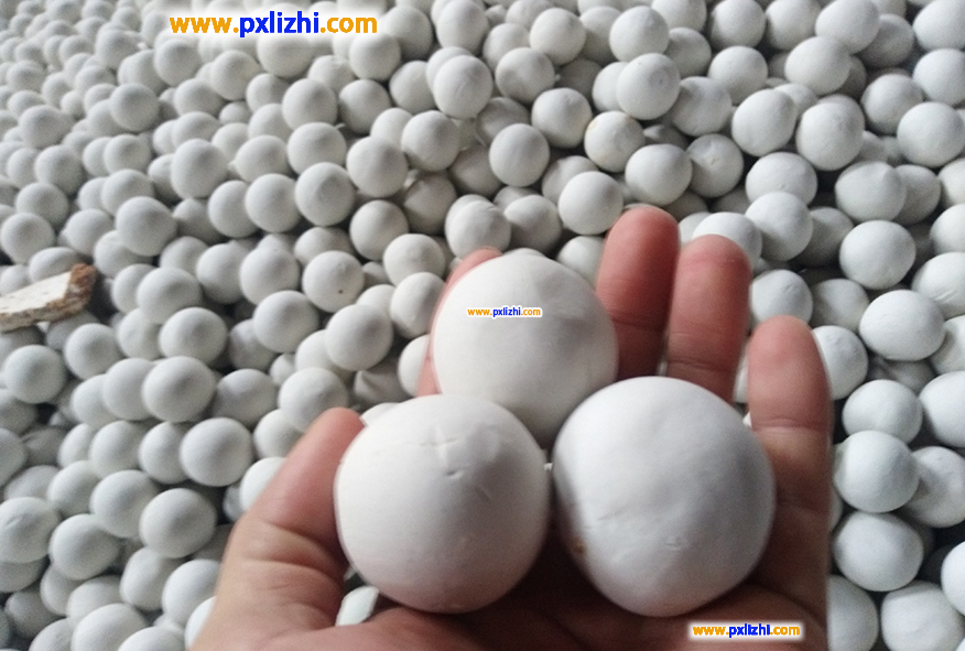 Inert ceramic balls where to buyv