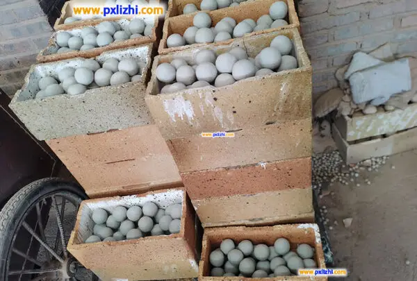 china inert alumina balls