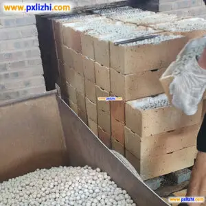 Inert Ceramic Ball for Catalysts